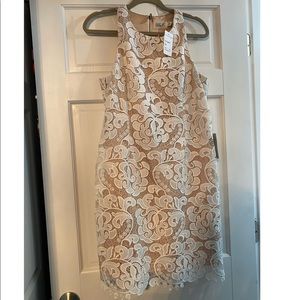 NWT Eliza J Floral Lace Dress